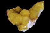Sunshine Cactus Quartz Crystal - South Africa #96259-1